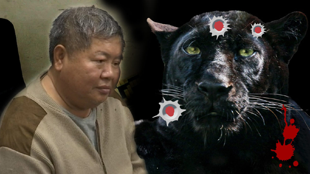 ดีเดย์นัดแรก!! “ศรีวราห์-วิเชียร” มาเองขึ้นศาลสืบคดี “เสือดำ” เป็นพยานโจทก์ ดีเดย์นัดแรก!! “ศรีวราห์-วิเชียร” มาเองขึ้นศาลสืบคดี “เสือดำ” เป็นพยานโจทก์