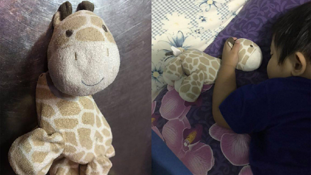 เจอแล้วจ้า! คุณแม่ปลื้ม เจอเจ้ายีราฟของลูกชาย นอนกอดหลับปุ๋ย เจอแล้วจ้า! คุณแม่ปลื้ม เจอเจ้ายีราฟของลูกชาย นอนกอดหลับปุ๋ย
