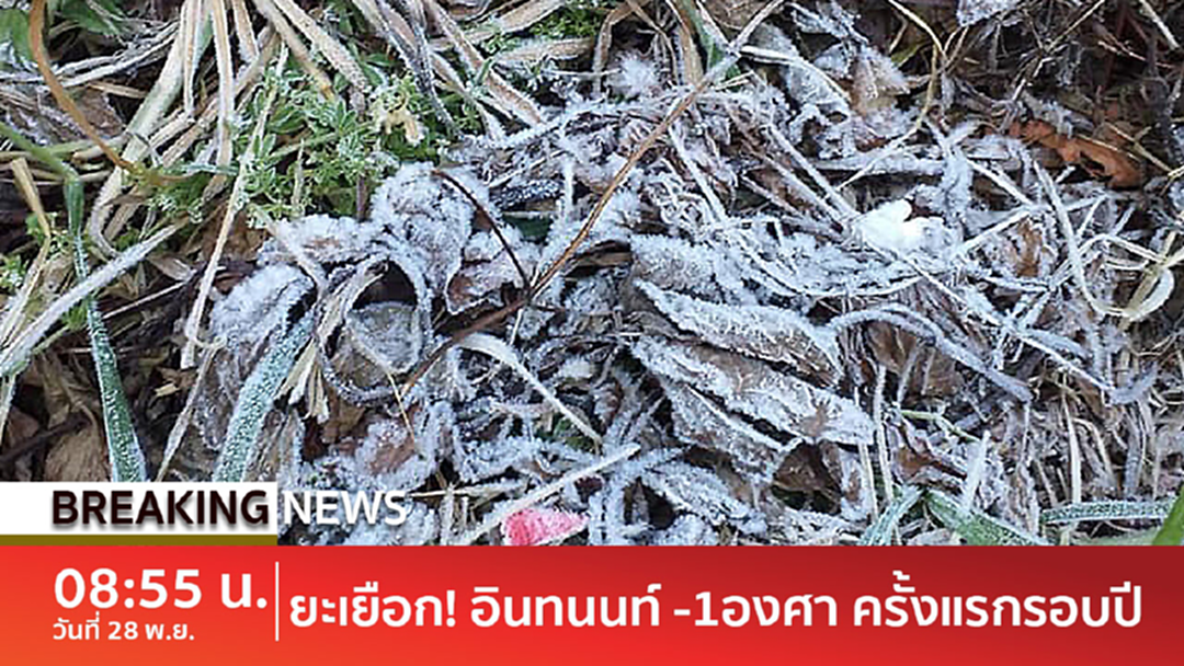 Breaking news : อุณหภูมิลดฮวบ! ยอดดอยอินทนนท์ ติดลบ 1 องศา ในรอบปี Breaking news : อุณหภูมิลดฮวบ! ยอดดอยอินทนนท์ ติดลบ 1 องศา ในรอบปี