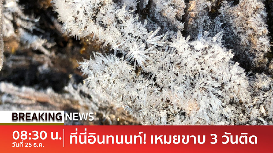 Breaking News : หนาวจัด! เหมยขาบโผล่ 3 วันติด ดอยอินทนนท์อุณหภูมิต่ำสุด 2 องศา Breaking News : หนาวจัด! เหมยขาบโผล่ 3 วันติด ดอยอินทนนท์อุณหภูมิต่ำสุด 2 องศา