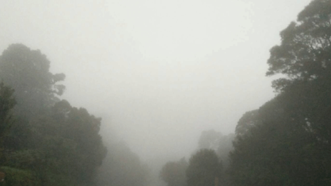ไทยตอนบน ระวังหมอกลงหนา-ใต้ฝนลดลง ไทยตอนบน ระวังหมอกลงหนา-ใต้ฝนลดลง