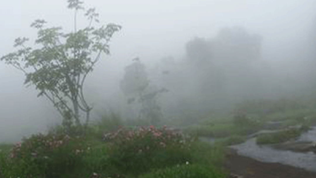 ไทยตอนบนมีหมอก อากาศเย็น - ภาคใต้ฝนฟ้าคะนองบางพื้นที่ ไทยตอนบนมีหมอก อากาศเย็น - ภาคใต้ฝนฟ้าคะนองบางพื้นที่