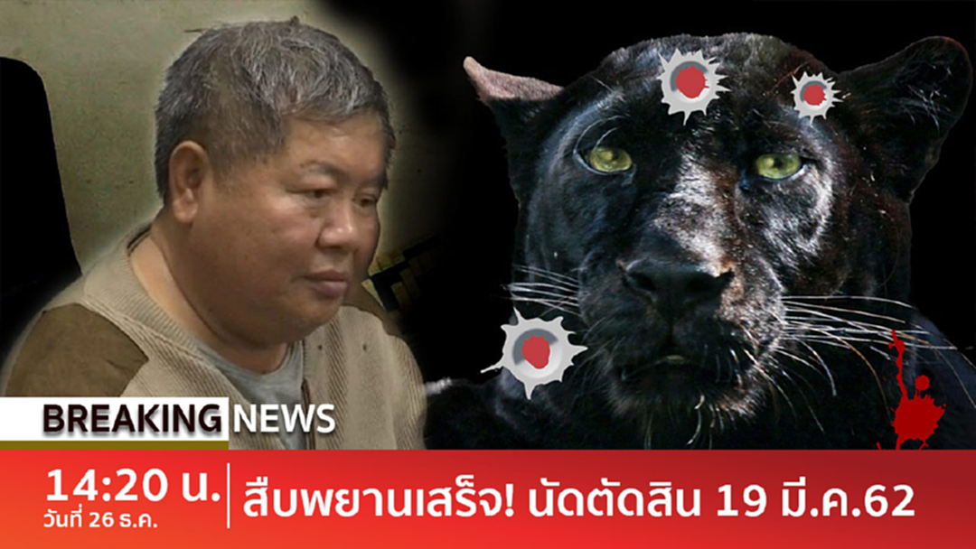 BreakingNews : สืบพยานคดีเสือดำเสร็จแล้ว ศาลนัดพิพากษา 19 มี.ค. 62 [คลิป]