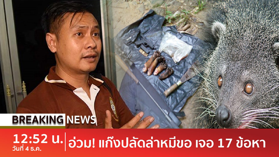 Breaking news : โดนหนัก! 17 ข้อหา "แก๊งปลัดล่าหมีขอ" ส่งสำนวนอัยการ จ.กาญจนบุรีแล้ว Breaking news : โดนหนัก! 17 ข้อหา "แก๊งปลัดล่าหมีขอ" ส่งสำนวนอัยการ จ.กาญจนบุรีแล้ว