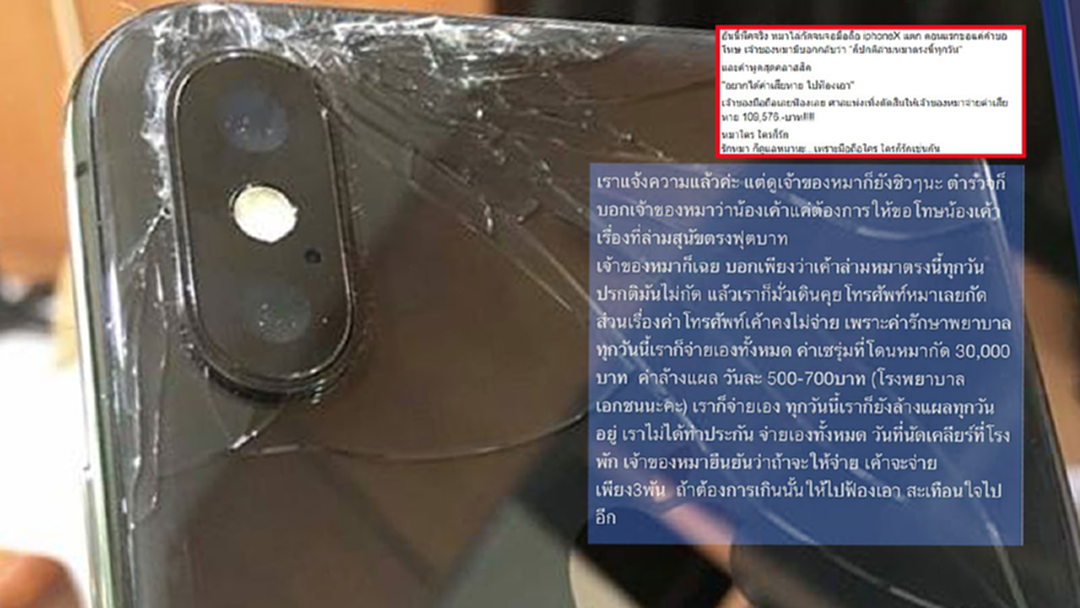 เรื่องจริง! โดนหมาไล่กัดจนiphoneX แตก เจ้าของหมาโดนฟ้องเจอค่าเสียหายหลักแสน! เรื่องจริง! โดนหมาไล่กัดจนiphoneX แตก เจ้าของหมาโดนฟ้องเจอค่าเสียหายหลักแสน!