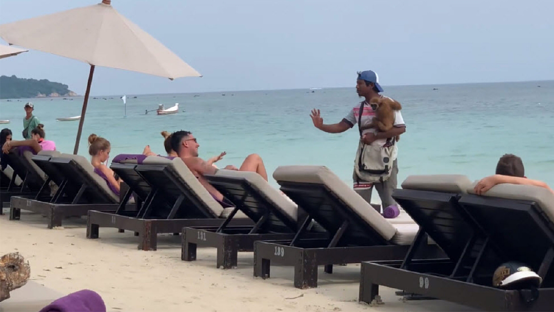 รับไม่ได้! ต่างชาติโพสต์ คนไทยอุ้มชะนีเร่ถ่ายรูปแลกเงินเกาะสมุย