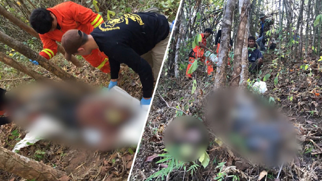 สลด 2 หนุ่มแพร่ออกล่าไก่ป่ายิงกันเองดับ อ้างผีบังตา !! สลด 2 หนุ่มแพร่ออกล่าไก่ป่ายิงกันเองดับ อ้างผีบังตา !!