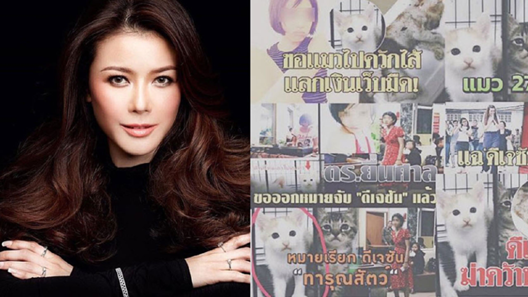 "เก๋ ชลลดา" โพสต์IG อัพเดทความคืบหน้า คดีลูกแมว 27 ตัว หวั่นเรื่องเงียบ! "เก๋ ชลลดา" โพสต์IG อัพเดทความคืบหน้า คดีลูกแมว 27 ตัว หวั่นเรื่องเงียบ!