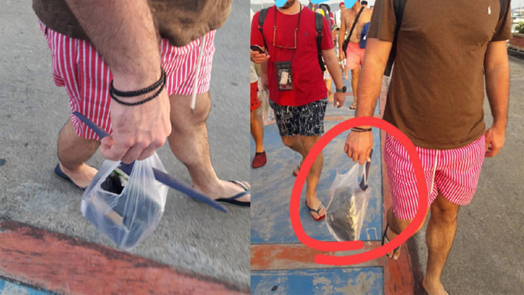 โซเชียลรุมจวก! นทท.ต่างชาติหิ้ว “ดาวทะเลสีน้ำเงิน” ใส่ถุงกลับบ้าน โซเชียลรุมจวก! นทท.ต่างชาติหิ้ว “ดาวทะเลสีน้ำเงิน” ใส่ถุงกลับบ้าน