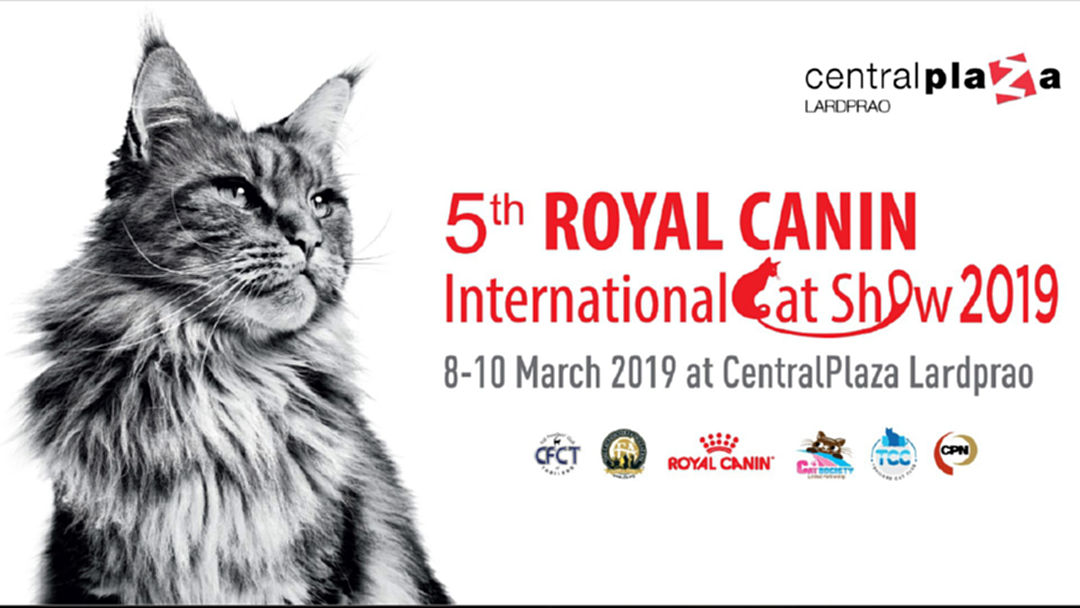 ยิ่งใหญ่ตระการตา แมวสวยหลายสายพันธุ์ “5th Royal Canin International Cat Show 2019” ยิ่งใหญ่ตระการตา แมวสวยหลายสายพันธุ์ “5th Royal Canin International Cat Show 2019”