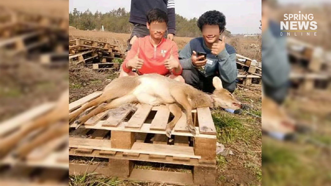 ชาวเน็ตจวก 2 หนุ่มแรงงานไทยในเกาหลีโพสต์สุดภูมิใจ โชว์ซากล่ากวาง