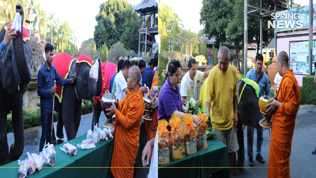 สวนนงนุช นำคชสารตักบาตรรับพรเสริมสิริมงคล วันช้างไทย สวนนงนุช นำคชสารตักบาตรรับพรเสริมสิริมงคล วันช้างไทย