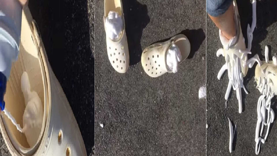 Cream Croc Challenge ชาเลนจ์ใหม่สุดไร้สาระ แต่ทำตามแล้วฟิน! (คลิป)