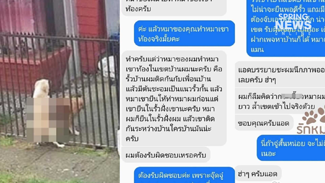 หนุ่มปรึกษาเพจ "หมาผมทำหมาเขาท้อง" เผยรั้วบ้านติดกัน ใครรับผิดชอบ? หนุ่มปรึกษาเพจ "หมาผมทำหมาเขาท้อง" เผยรั้วบ้านติดกัน ใครรับผิดชอบ?