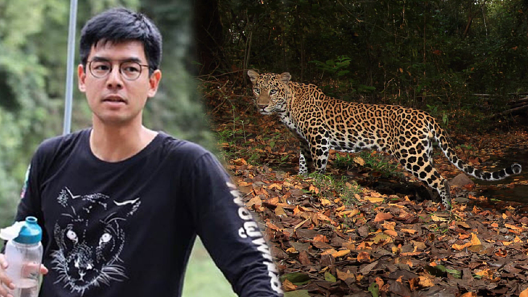 เล่าผ่านเลนส์ “โน๊ต วัชรบูล” เดินเท้าเข้าป่าห้วยขาแข้งเก็บภาพ 7 สัตว์ป่าหายาก เล่าผ่านเลนส์ “โน๊ต วัชรบูล” เดินเท้าเข้าป่าห้วยขาแข้งเก็บภาพ 7 สัตว์ป่าหายาก