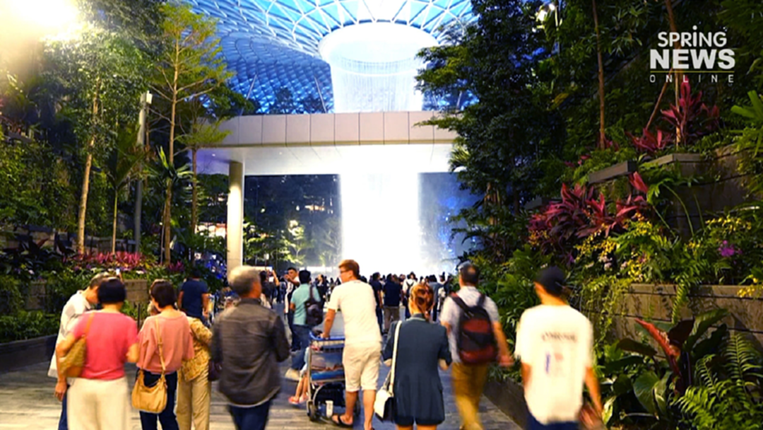 สวนนงนุชดูงานสิงคโปร์ เตรียมทำสวนลอยฟ้า สวนนงนุชดูงานสิงคโปร์ เตรียมทำสวนลอยฟ้า