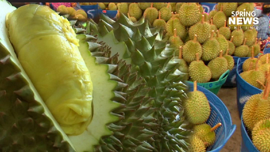 ไทยส่งออกผลไม้ไปจีน4เดือนโต152.7% ไทยส่งออกผลไม้ไปจีน4เดือนโต152.7%
