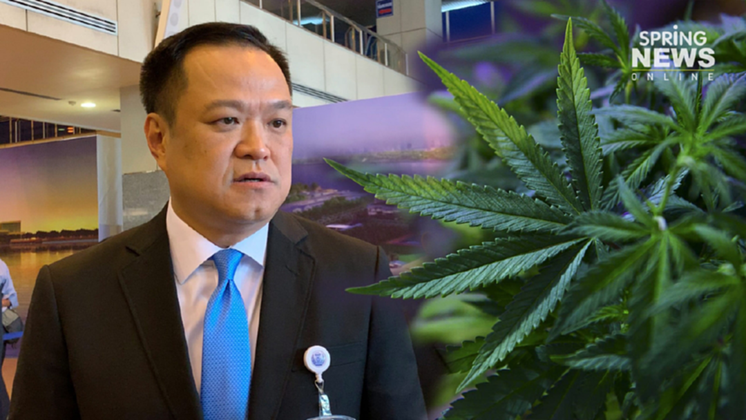 “อนุทิน” เผย เตรียมส่งนโยบายกัญชา ให้คณะกรรมการพรรคร่วมพิจารณา “อนุทิน” เผย เตรียมส่งนโยบายกัญชา ให้คณะกรรมการพรรคร่วมพิจารณา