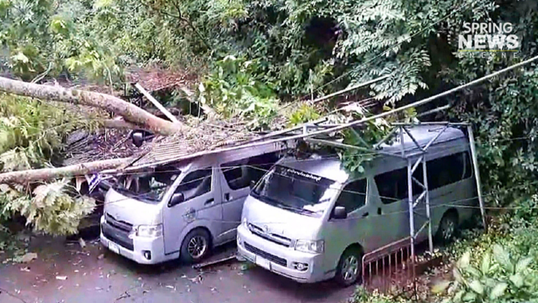 ฝนหนักลมแรงซัดต้นไม้ใหญ้ล้มใส่โรงรถศาลากลางจันทบุรี ฝนหนักลมแรงซัดต้นไม้ใหญ้ล้มใส่โรงรถศาลากลางจันทบุรี