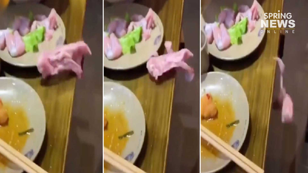กรี๊ดสนั่น! ไวรัลสุดช็อก "เนื้อไก่กระดึ๊บ" คลานออกจากจาน (คลิป) กรี๊ดสนั่น! ไวรัลสุดช็อก "เนื้อไก่กระดึ๊บ" คลานออกจากจาน (คลิป)