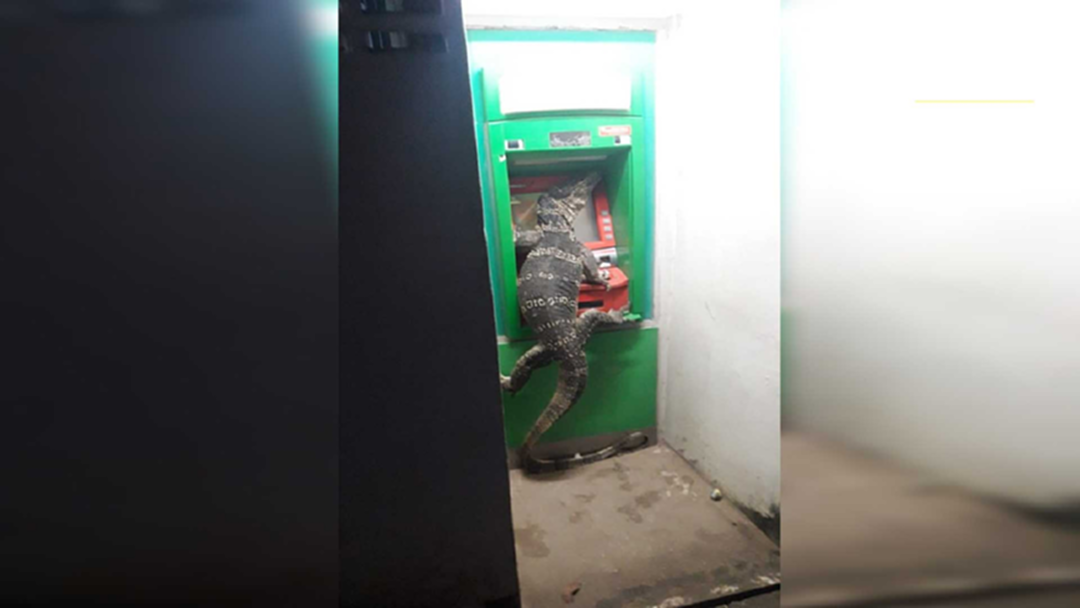 ชาวบ้านต่อคิว! ส่องเลขเด็ด สุดอึ้ง "ตัวเงินตัวทอง" โผล่กดเงินตู้ ATM ชาวบ้านต่อคิว! ส่องเลขเด็ด สุดอึ้ง "ตัวเงินตัวทอง" โผล่กดเงินตู้ ATM