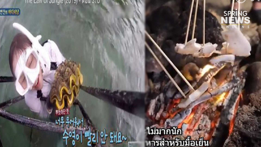 ดราม่า! รายการเที่ยวเกาหลีบุกทะเลไทย "จับหอยมือเสือ" ทำอาหาร ดราม่า! รายการเที่ยวเกาหลีบุกทะเลไทย "จับหอยมือเสือ" ทำอาหาร