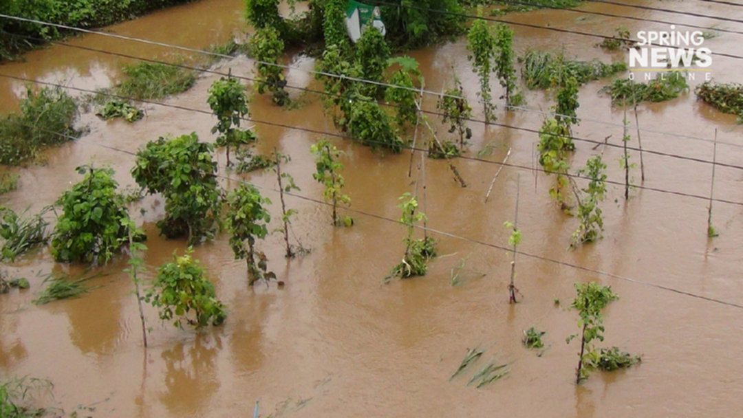 อุตุฯ เตือนทั่วไทย ฝนกระหน่ำ เหนืออีสานระวังน้ำป่า-น้ำท่วม ใต้ตะวันตก เรือเล็กควรงดออกจากฝั่ง อุตุฯ เตือนทั่วไทย ฝนกระหน่ำ เหนืออีสานระวังน้ำป่า-น้ำท่วม ใต้ตะวันตก เรือเล็กควรงดออกจากฝั่ง