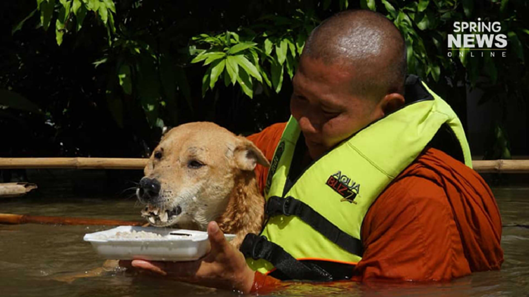ประทับใจ! พระสงฆ์ออกโรงช่วยน้ำท่วมอุบล ลุยน้ำป้อนข้าวน้องหมา