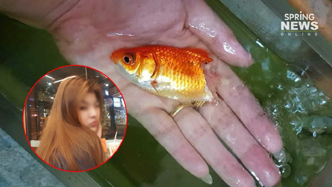 สาวช่วยสุดชีวิต "ถุงทอง" ปลาคาร์ฟเนื้อหลุด "ก้างโผล่" ดูแลจนรอดปาฏิหาริย์ สาวช่วยสุดชีวิต "ถุงทอง" ปลาคาร์ฟเนื้อหลุด "ก้างโผล่" ดูแลจนรอดปาฏิหาริย์