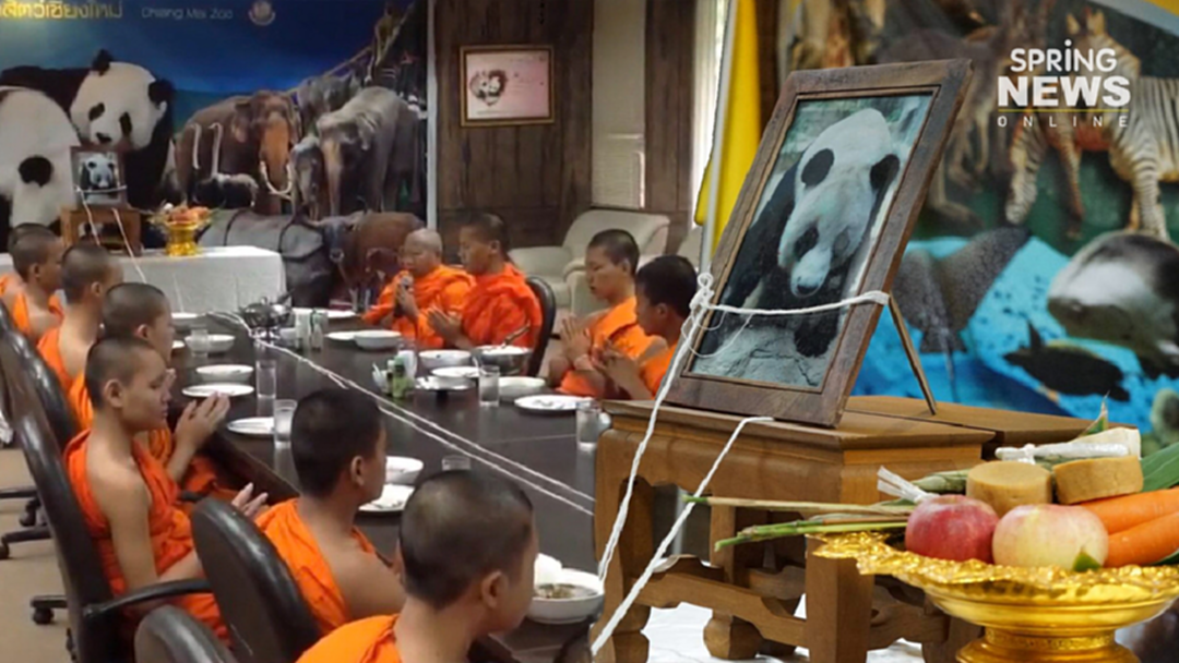ทำบุญครบ 7 วัน "ช่วงช่วง" ส่วนสาเหตุการตายยังต้องรอ ทำตามมาตรฐานจีน ทำบุญครบ 7 วัน "ช่วงช่วง" ส่วนสาเหตุการตายยังต้องรอ ทำตามมาตรฐานจีน