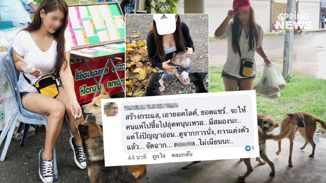 แม่ค้าสาว "ขายหวย" เดือดพล่าน! แบ่งเงินซื้ออาหารหมาจร แต่ถูกเหยียด!!! แม่ค้าสาว "ขายหวย" เดือดพล่าน! แบ่งเงินซื้ออาหารหมาจร แต่ถูกเหยียด!!!