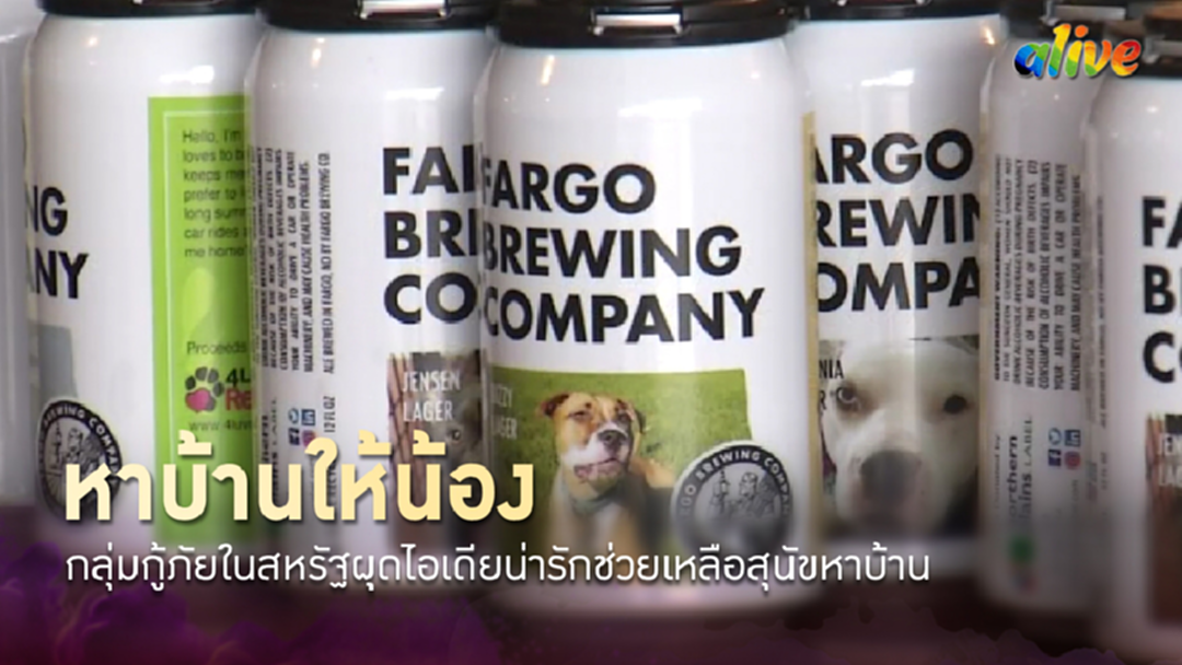กลุ่มกู้ภัยในสหรัฐผุดไอเดียน่ารักช่วยเหลือสุนัขหาบ้าน กลุ่มกู้ภัยในสหรัฐผุดไอเดียน่ารักช่วยเหลือสุนัขหาบ้าน