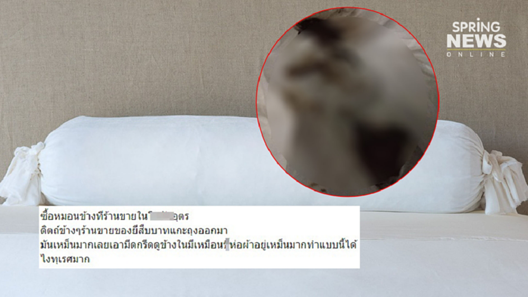 เจ้าของร้านโต้! ปมลูกค้าซื้อหมอนข้างเหม็น กรีดดูข้างในเจอผ้าห่ออุจจาระ เจ้าของร้านโต้! ปมลูกค้าซื้อหมอนข้างเหม็น กรีดดูข้างในเจอผ้าห่ออุจจาระ