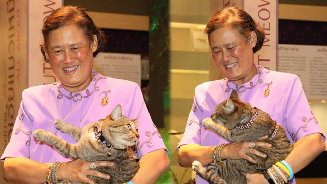 กรมสมเด็จพระเทพฯ ทรงอุ้ม คุณใบตอง เปิดนิทรรศการ แมวเอ๋ย แมวเหมียว