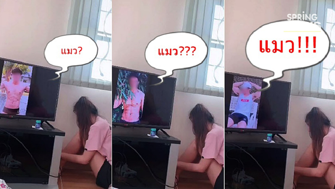 สาวงอลแฟน นั่งกดมือถือ บ่นพึมพำ "ไม่เคยสนใจ" หนุ่มถามดูอะไร? บอกดูแมว! สาวงอลแฟน นั่งกดมือถือ บ่นพึมพำ "ไม่เคยสนใจ" หนุ่มถามดูอะไร? บอกดูแมว!