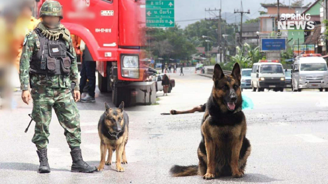ปิดตำนาน น้องกาแฟ สุนัขค้นหาระเบิดแดนใต้ จากไปอย่างสมเกียรติ