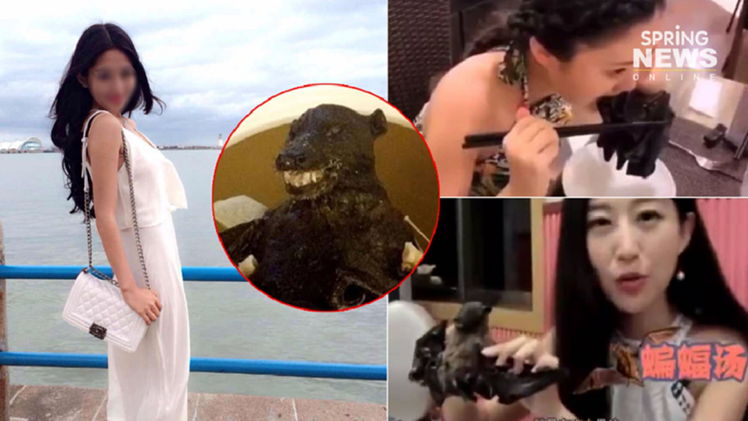 รู้จัก หวัง เหมินหยุน บล็อกเกอร์จีน "กินซุปค้างคาว" เผยไม่รู้เสี่ยงโคโรน่า รู้จัก หวัง เหมินหยุน บล็อกเกอร์จีน "กินซุปค้างคาว" เผยไม่รู้เสี่ยงโคโรน่า