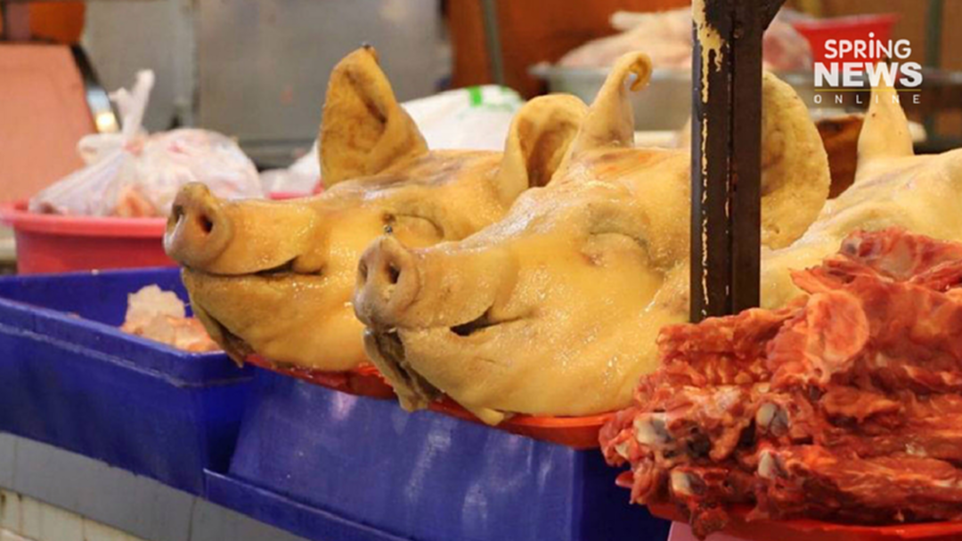 ราคาเนื้อหมูพุ่งสูงรับเทศกาล วันตรุษจีน2563 ราคาเนื้อหมูพุ่งสูงรับเทศกาล วันตรุษจีน2563