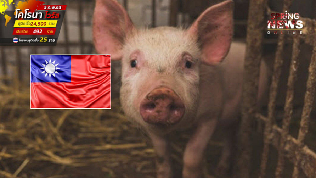ไข้หวัดหมู ไต้หวันเผยตัวเลข 3 เดือน เสียชีวิตล่าสุด 56 ราย