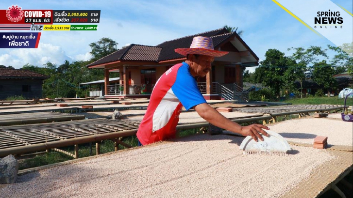 เม็ดสาคูต้น ขนมหวานยอดฮิต ที่ชาวบ้านพลิกวิกฤติโควิด-19 เป็นโอกาส