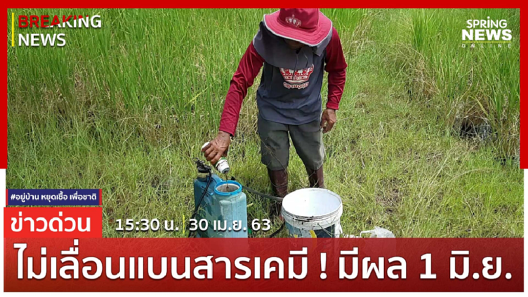 Breaking News : ยืนตามมติเดิม ! แบน พาราควอต คลอร์ไพริฟอส มีผล 1 มิ.ย. Breaking News : ยืนตามมติเดิม ! แบน พาราควอต คลอร์ไพริฟอส มีผล 1 มิ.ย.