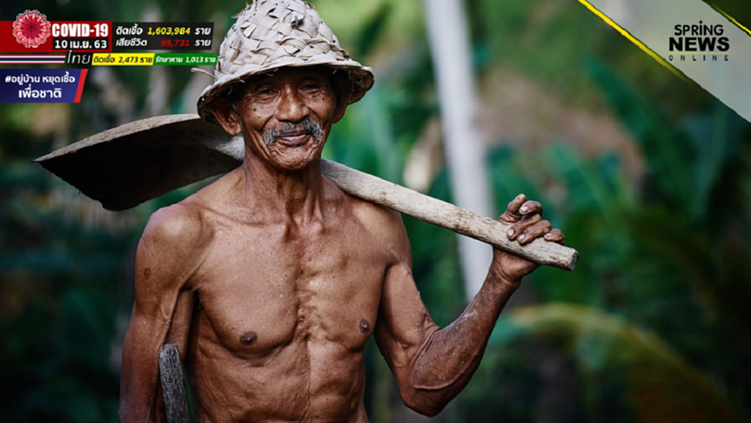 พักชำระหนี้ผู้สูงอายุ 1 ปี ลูกหนี้กองทุนผู้สูงอายุ พักชำระหนี้ผู้สูงอายุ 1 ปี ลูกหนี้กองทุนผู้สูงอายุ