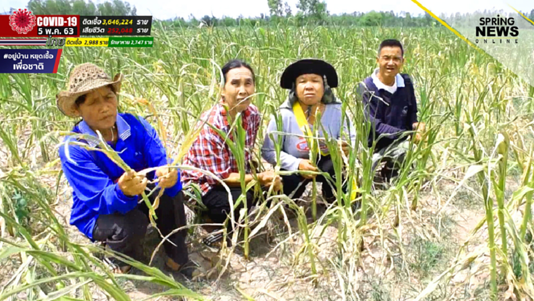 มาตรการพักชำระหนี้ ธ.ก.ส. "พักหนี้เงินต้น-ดอกเบี้ย" 1 ปี ไม่ต้องลงทะเบียน มาตรการพักชำระหนี้ ธ.ก.ส. "พักหนี้เงินต้น-ดอกเบี้ย" 1 ปี ไม่ต้องลงทะเบียน
