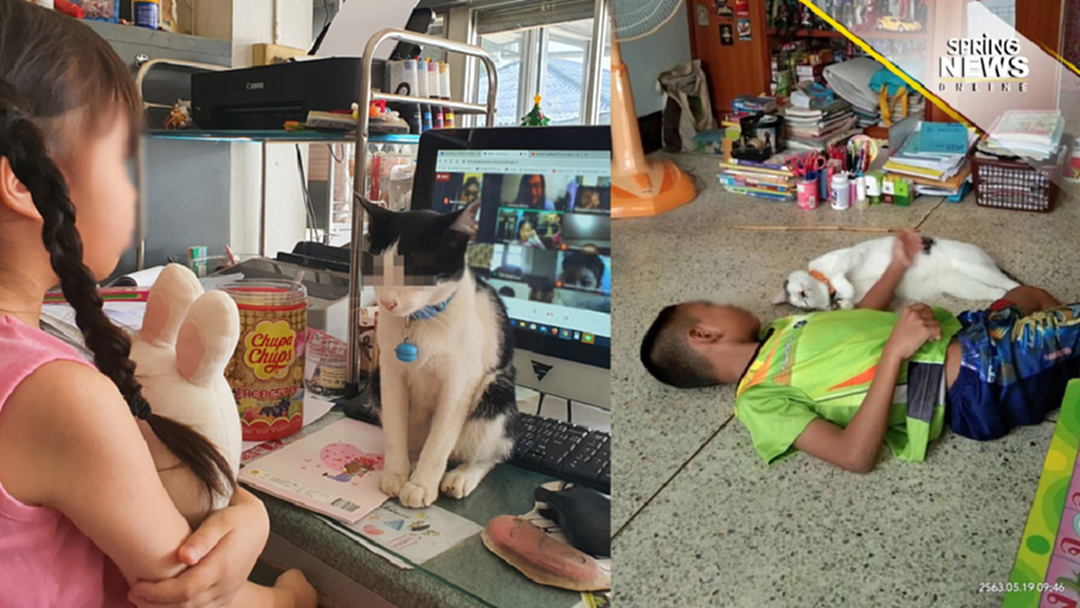 อุปสรรคเรียนออนไลน์ "เจ้านาย" ป่วนหนัก วุ่นม๊ากกกก กวนตลอดเวลา (รูปเยอะ) อุปสรรคเรียนออนไลน์ "เจ้านาย" ป่วนหนัก วุ่นม๊ากกกก กวนตลอดเวลา (รูปเยอะ)