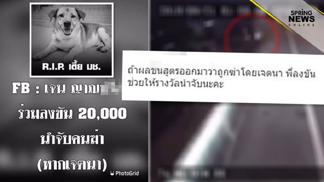 โซเชียลไม่ทน! ลงขันล่าคนฆ่า พี่เตี้ย มช. ล่าสุดยอดพุ่ง 20K โซเชียลไม่ทน! ลงขันล่าคนฆ่า พี่เตี้ย มช. ล่าสุดยอดพุ่ง 20K