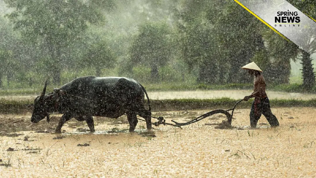 'เกษตรกร' ฟังทางนี้ 'เตรียมพักชำระหนี้ 1 ปี' เช็คสิทธิยังไง ใครได้รับสิทธิบ้างมาดู 'เกษตรกร' ฟังทางนี้ 'เตรียมพักชำระหนี้ 1 ปี' เช็คสิทธิยังไง ใครได้รับสิทธิบ้างมาดู
