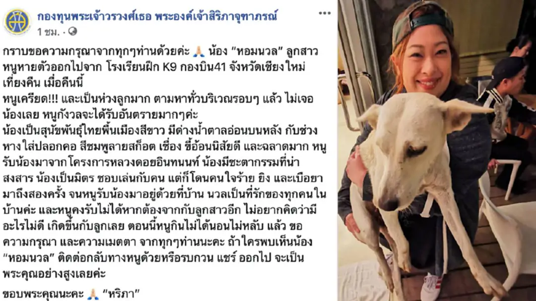 พระองค์เจ้าสิริภาจุฑาภรณ์ ทรงโพสต์ตามหาสุนัขพันธุ์ไทยพื้นเมือง "หอมนวล" หายไปเมื่อคืนนี้