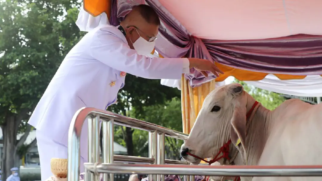 ในหลวง โปรดเกล้าฯ ผู้แทนพระองค์บำเพ็ญพระราชกุศลวันเฉลิมพระชนมพรรษาพระราชินี ในหลวง โปรดเกล้าฯ ผู้แทนพระองค์บำเพ็ญพระราชกุศลวันเฉลิมพระชนมพรรษาพระราชินี