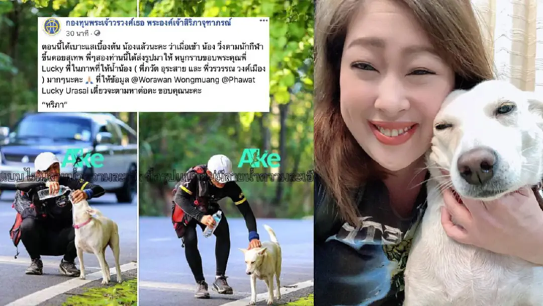 พระองค์เจ้าสิริภาฯ ทรงโพสต์พบเบาะแสสุนัข "หอมนวล" แล้ว พระองค์เจ้าสิริภาฯ ทรงโพสต์พบเบาะแสสุนัข "หอมนวล" แล้ว