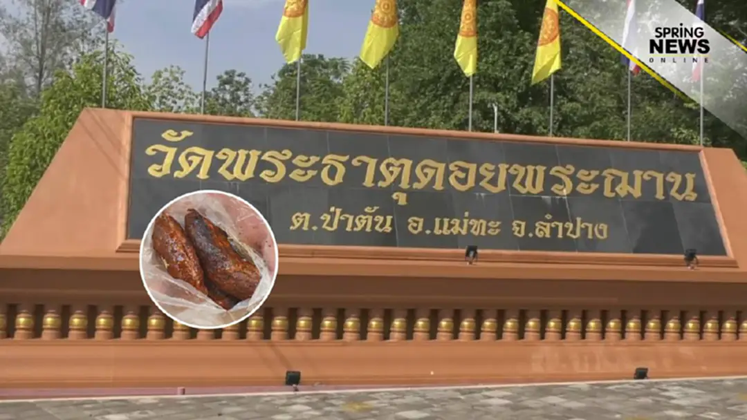 แจ้งตำรวจล่าคนใจร้าย วางยาเบื่อฆ่าหมาวัดตาย แจ้งตำรวจล่าคนใจร้าย วางยาเบื่อฆ่าหมาวัดตาย